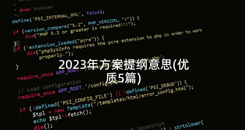 2023年方案提纲意思(优质5篇)