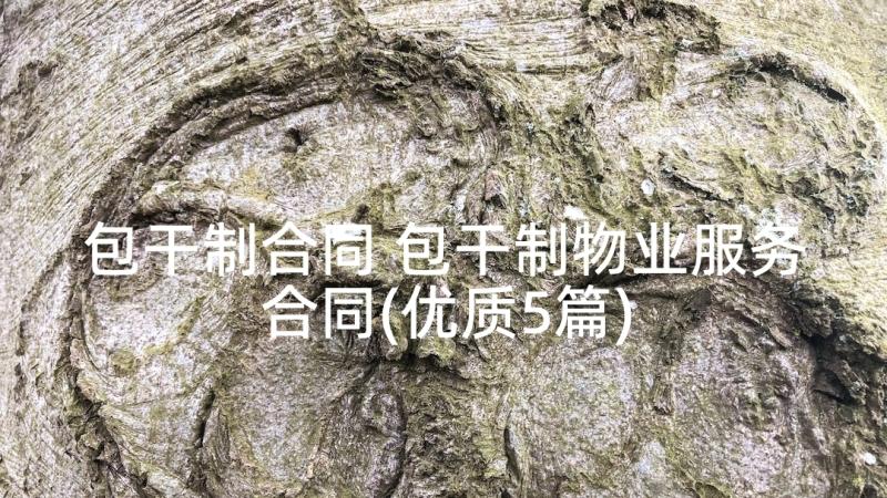 包干制合同 包干制物业服务合同(优质5篇)