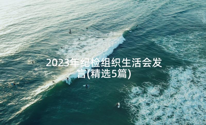 2023年纪检组织生活会发言(精选5篇)