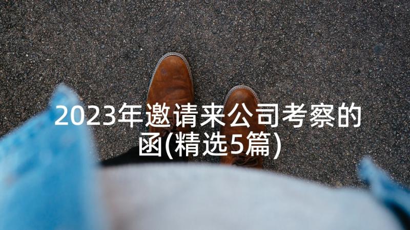 2023年邀请来公司考察的函(精选5篇)