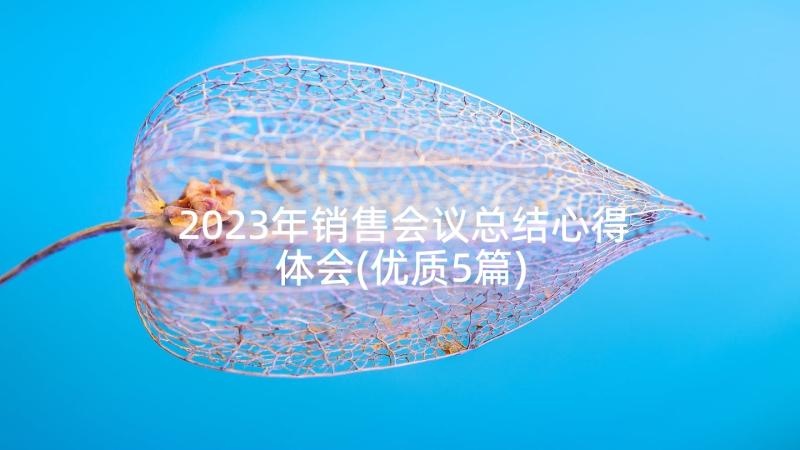 2023年销售会议总结心得体会(优质5篇)