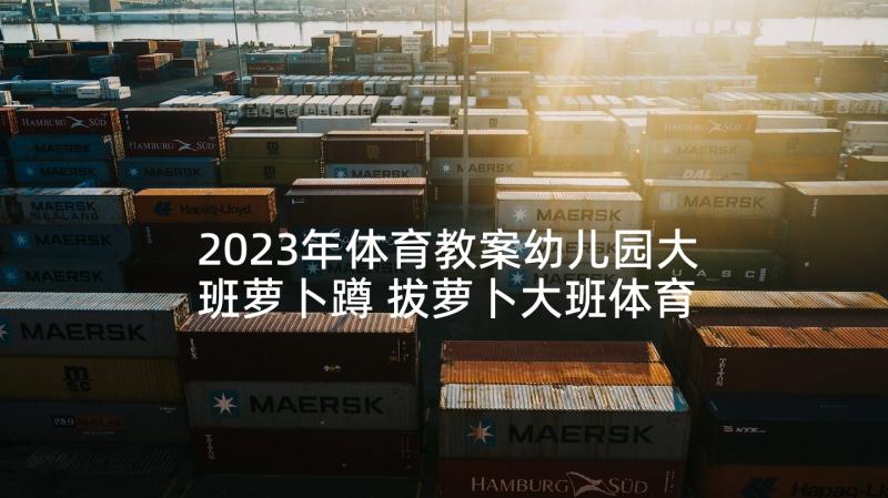 2023年体育教案幼儿园大班萝卜蹲 拔萝卜大班体育活动教案(大全10篇)