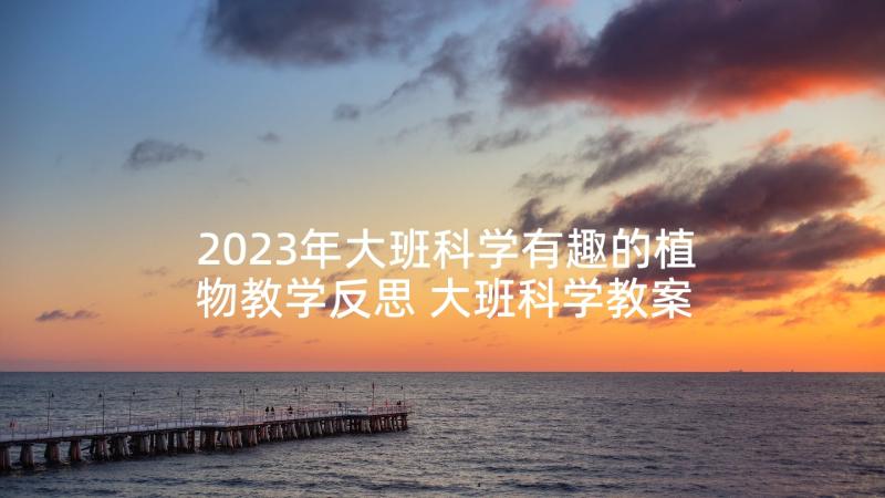 2023年大班科学有趣的植物教学反思 大班科学教案及教学反思影子真有趣(大全5篇)