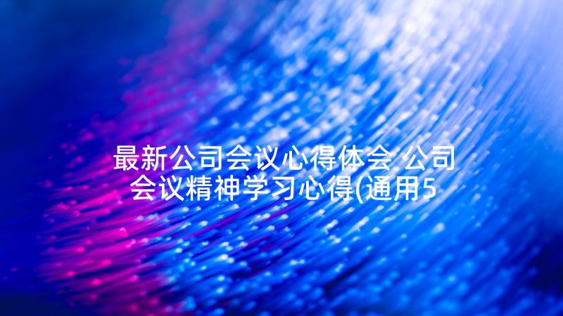 最新公司会议心得体会 公司会议精神学习心得(通用5篇)