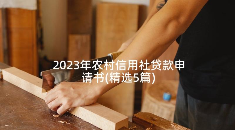 2023年农村信用社贷款申请书(精选5篇)