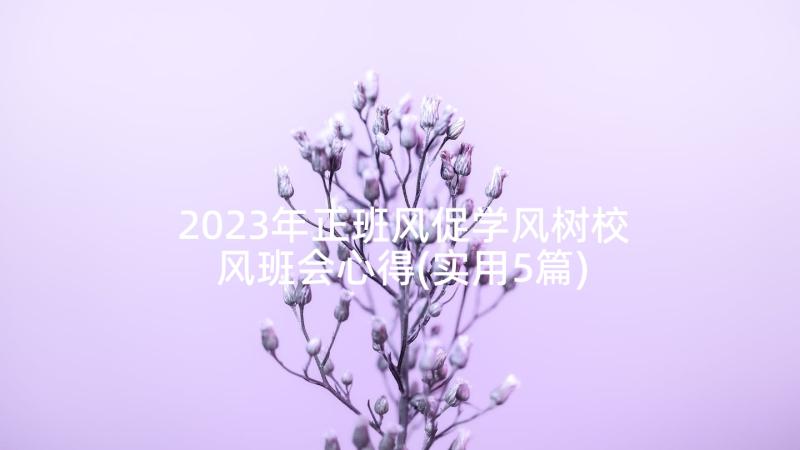 2023年正班风促学风树校风班会心得(实用5篇)