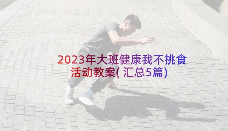 2023年大班健康我不挑食活动教案(汇总5篇)