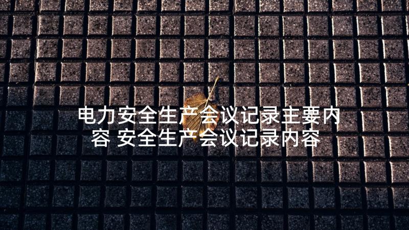 电力安全生产会议记录主要内容 安全生产会议记录内容(大全5篇)