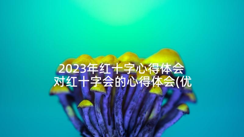 2023年红十字心得体会 对红十字会的心得体会(优质9篇)