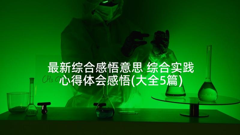 最新综合感悟意思 综合实践心得体会感悟(大全5篇)