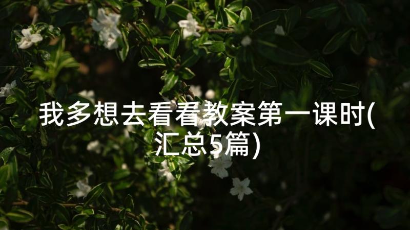 我多想去看看教案第一课时(汇总5篇)