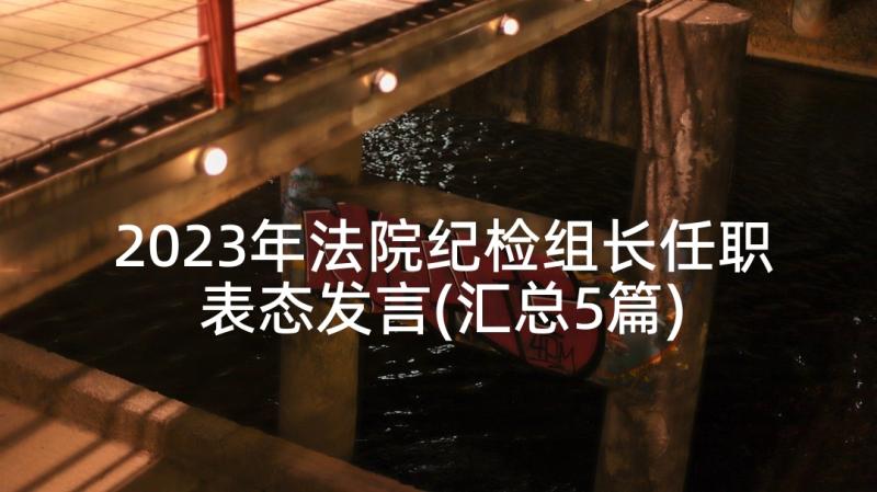 2023年法院纪检组长任职表态发言(汇总5篇)