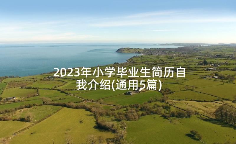 2023年小学毕业生简历自我介绍(通用5篇)