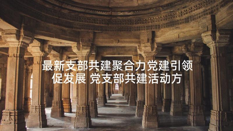 最新支部共建聚合力党建引领促发展 党支部共建活动方案(通用5篇)