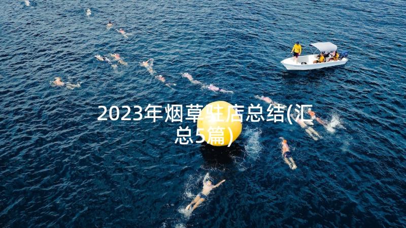 2023年烟草驻店总结(汇总5篇)