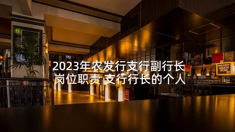 2023年农发行支行副行长岗位职责 支行行长的个人述职报告(模板5篇)