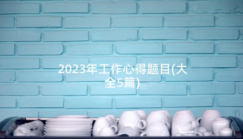 2023年工作心得题目(大全5篇)