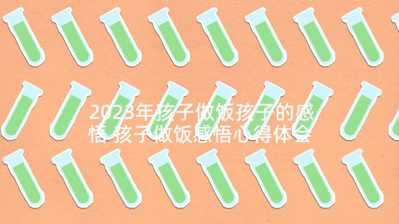 2023年孩子做饭孩子的感悟 孩子做饭感悟心得体会家长(精选5篇)