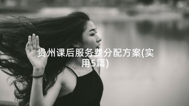 贵州课后服务费分配方案(实用5篇)