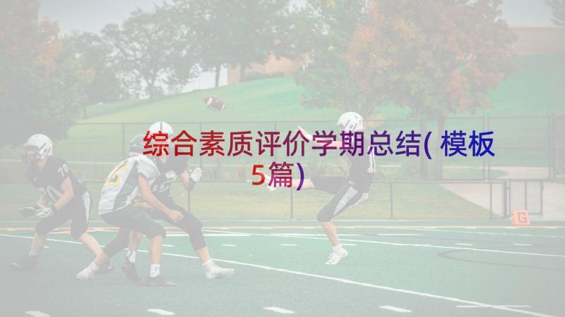 综合素质评价学期总结(模板5篇)