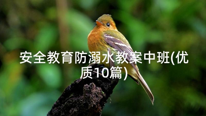 安全教育防溺水教案中班(优质10篇)