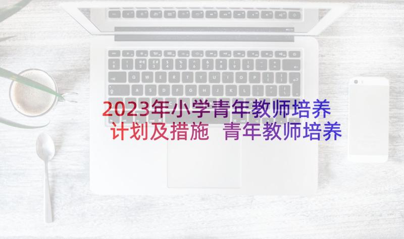 2023年小学青年教师培养计划及措施 青年教师培养工作计划(优质6篇)