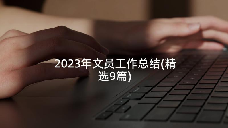 2023年文员工作总结(精选9篇)