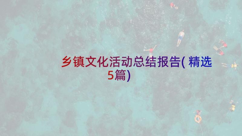 乡镇文化活动总结报告(精选5篇)