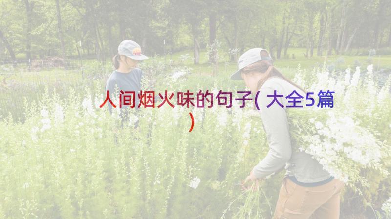 人间烟火味的句子(大全5篇)