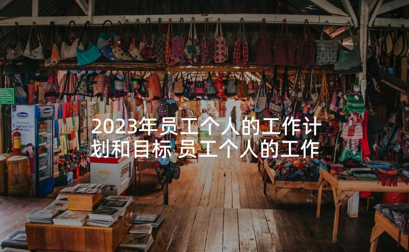 2023年员工个人的工作计划和目标 员工个人的工作计划(大全5篇)