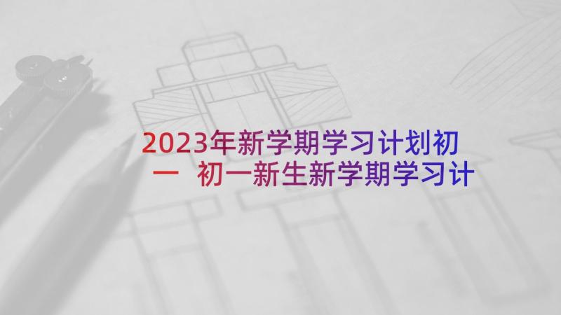 2023年新学期学习计划初一 初一新生新学期学习计划(模板5篇)