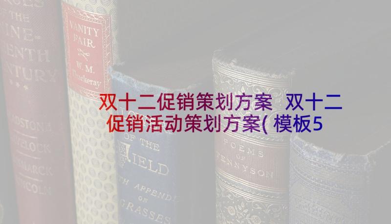 双十二促销策划方案 双十二促销活动策划方案(模板5篇)