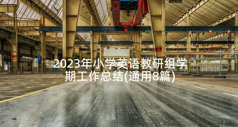 2023年小学英语教研组学期工作总结(通用8篇)