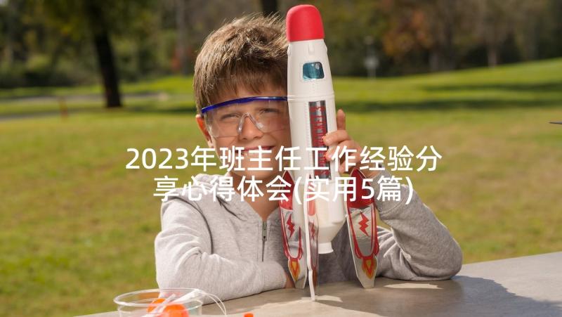 2023年班主任工作经验分享心得体会(实用5篇)