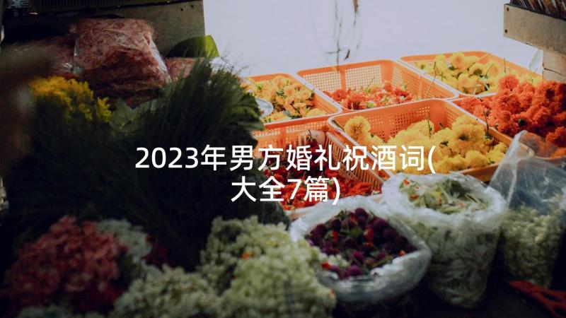 2023年男方婚礼祝酒词(大全7篇)
