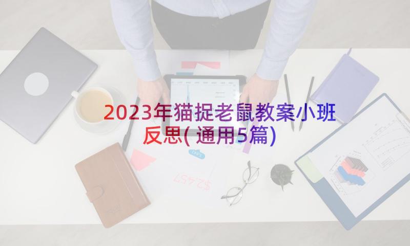 2023年猫捉老鼠教案小班反思(通用5篇)