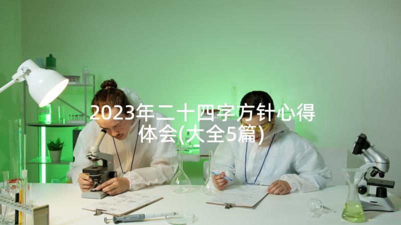 2023年二十四字方针心得体会(大全5篇)