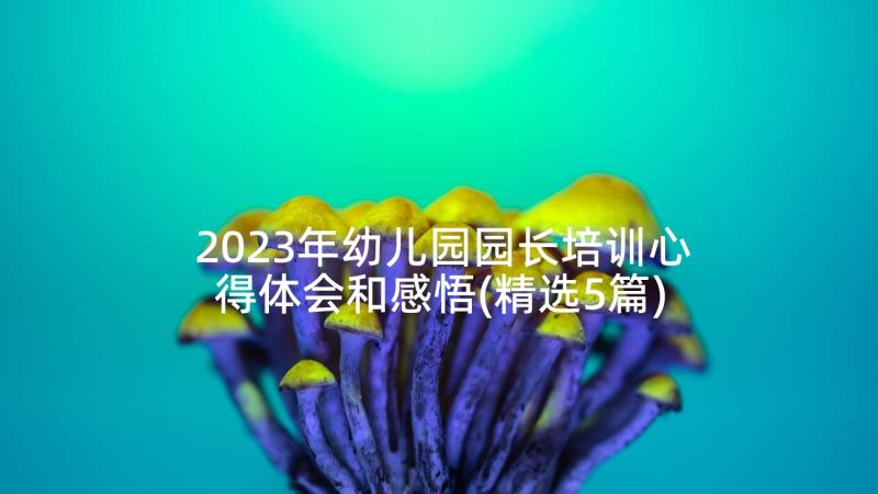 2023年幼儿园园长培训心得体会和感悟(精选5篇)