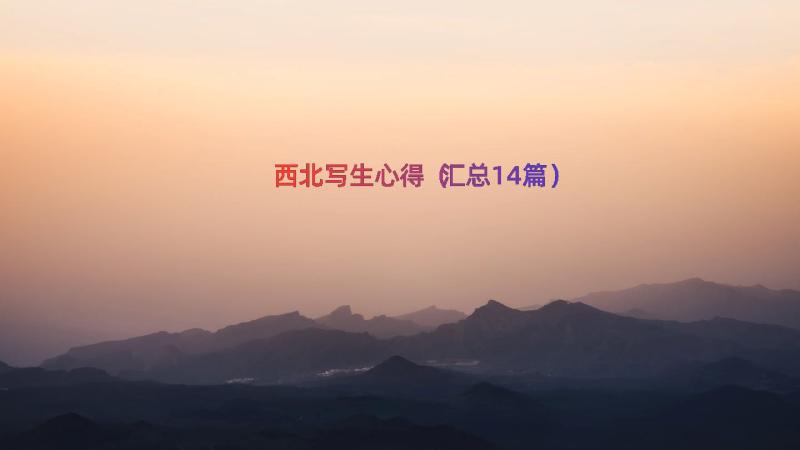 西北写生心得（汇总14篇）