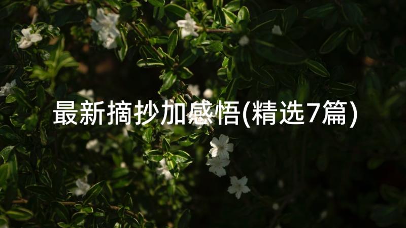 最新摘抄加感悟(精选7篇)