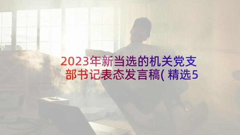 2023年新当选的机关党支部书记表态发言稿(精选5篇)