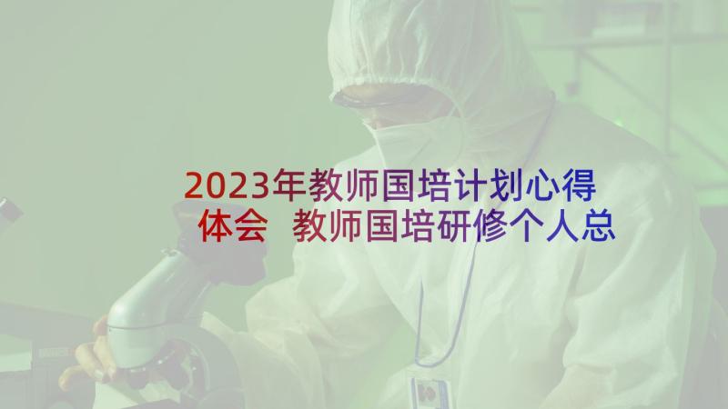 2023年教师国培计划心得体会 教师国培研修个人总结(模板10篇)