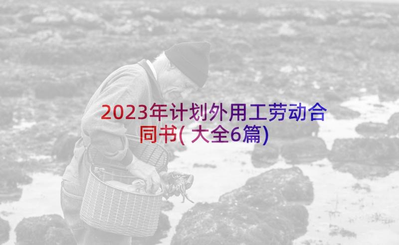 2023年计划外用工劳动合同书(大全6篇)