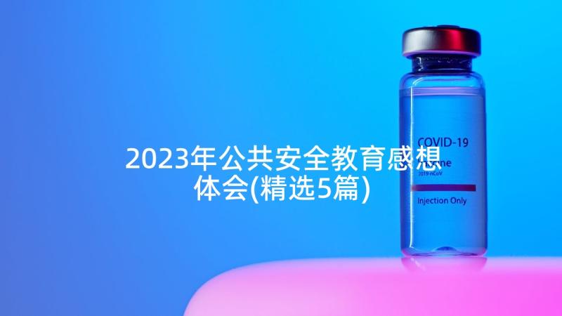 2023年公共安全教育感想体会(精选5篇)