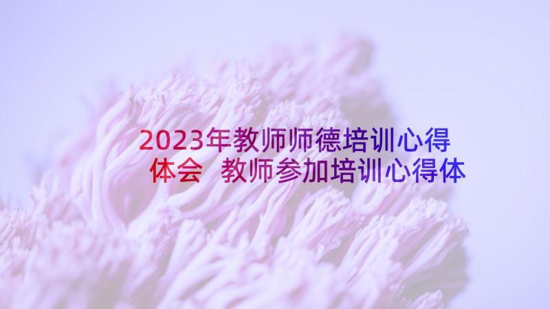 2023年教师师德培训心得体会 教师参加培训心得体会(汇总5篇)