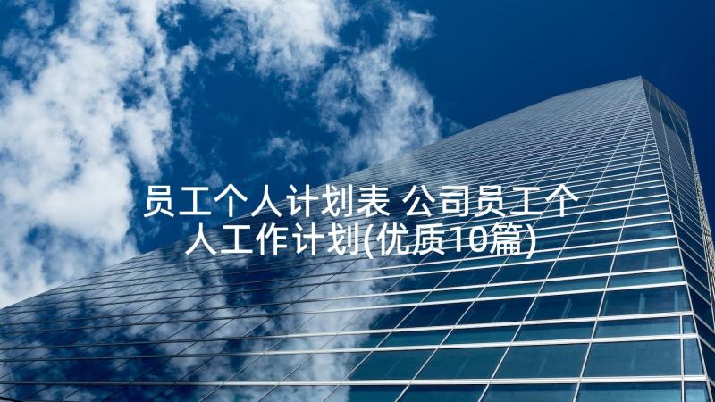 员工个人计划表 公司员工个人工作计划(优质10篇)