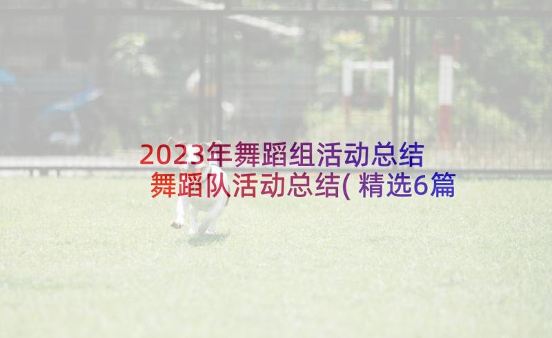 2023年舞蹈组活动总结 舞蹈队活动总结(精选6篇)