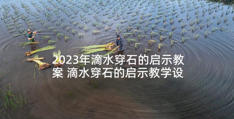 2023年滴水穿石的启示教案 滴水穿石的启示教学设计(大全5篇)