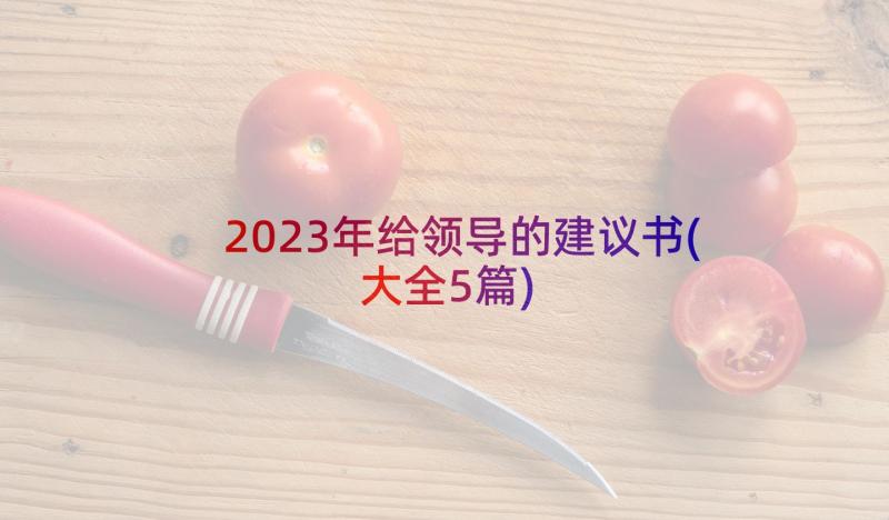 2023年给领导的建议书(大全5篇)