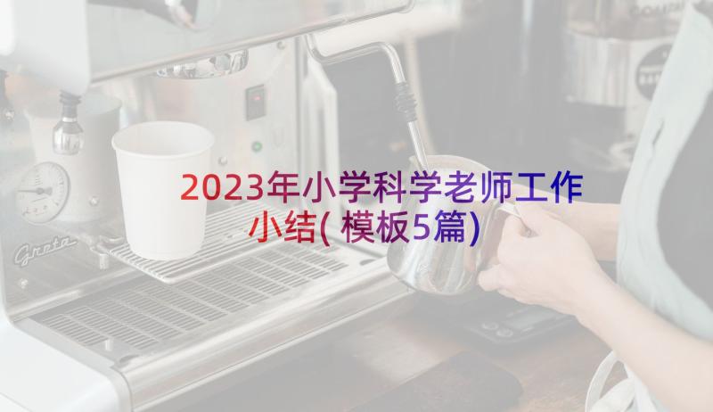 2023年小学科学老师工作小结(模板5篇)